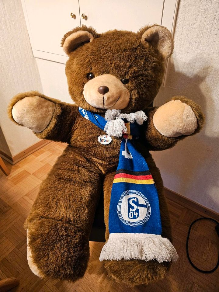 Grosser Plüsch-Teddy mit Schalke-S04-Schal in Essen