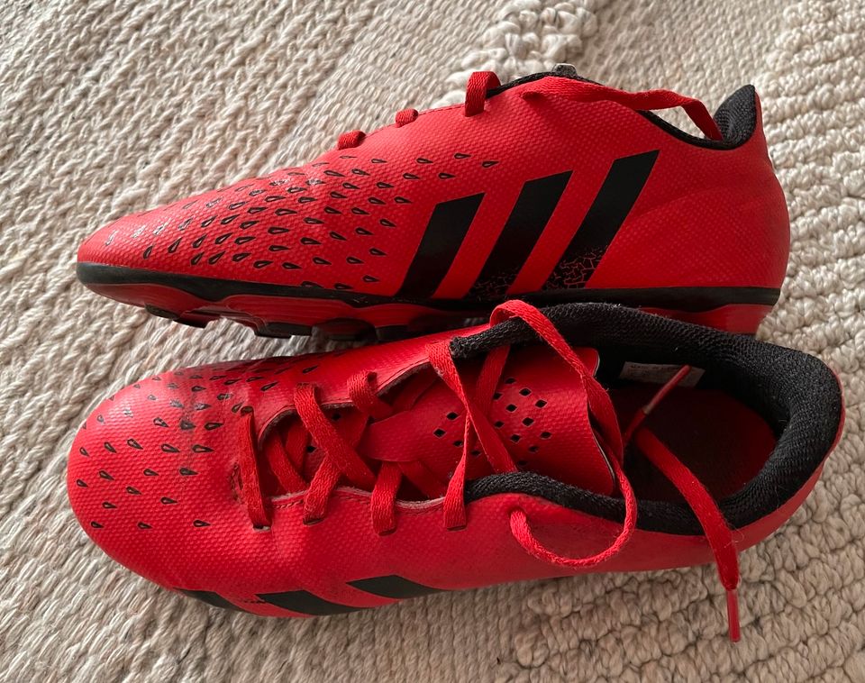 Fußballschuhe Predator (Adidas), Gr. 36 in Unterföhring