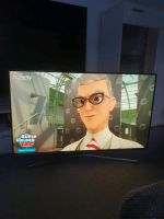 Samsung fernseher UE48H5090AS Hessen - Eschwege Vorschau