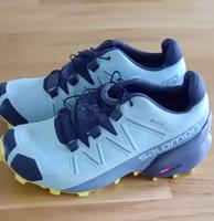 Salomon Speed Cross 5 HTX und Gore-Tex Wanderschuhe Rheinland-Pfalz - Schweich Vorschau
