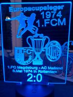 1 FC Magdeburg, LED Lampe, Nachtlicht, Deko Sachsen-Anhalt - Osterweddingen Vorschau