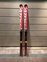 Atomic Redster LT Ski 174cm mit Bindung - frisch aufbereitet Bayern - Cadolzburg Vorschau