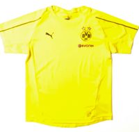 BVB Shirt Gr. 152 gelb Nordrhein-Westfalen - Delbrück Vorschau