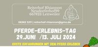 Pferde-Erlebnis-Tag Juni und Juli Rheinland-Pfalz - Bad Kreuznach Vorschau