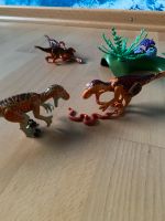 Playmobil Dinosaurier Eierklauer Niedersachsen - Salzgitter Vorschau