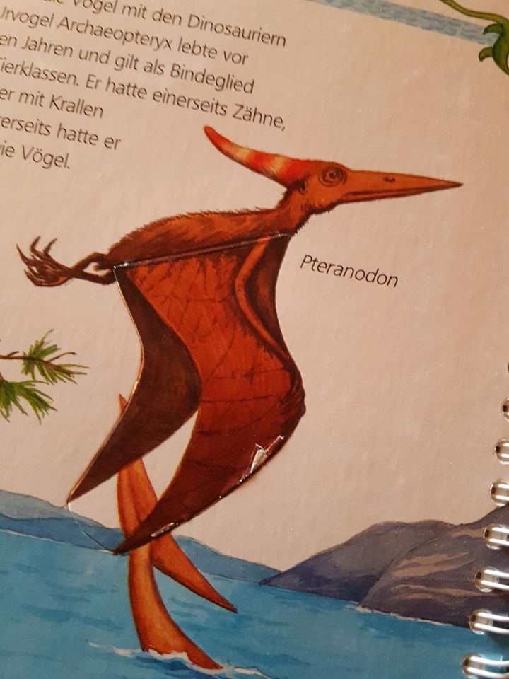 Wieso weshalb warum Buch Dinosaurier in Oberthulba