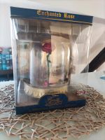 Funko Pop Enchanted Rose Beauty and The Beast Rheinland-Pfalz - Strohn Vorschau