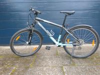 Scott Contessa Mountainbike Kreis Pinneberg - Pinneberg Vorschau