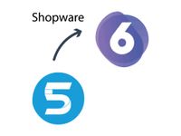 Shopware 5 auf Shopware 6 migrieren Niedersachsen - Uelzen Vorschau