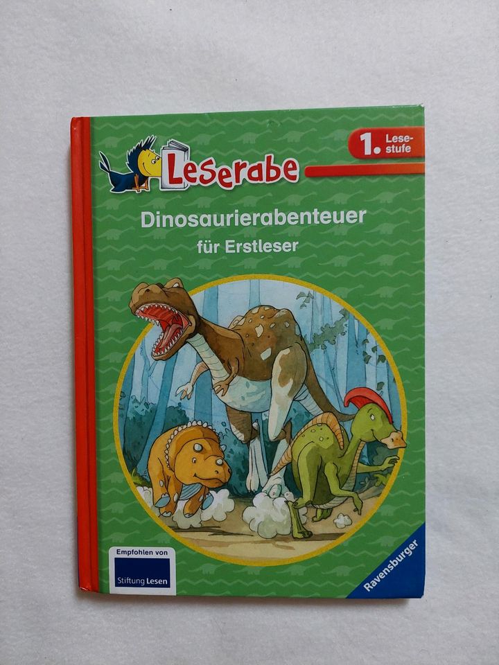 Buch "Dinosaurierabenteuer für Erstleser" in Niederkumbd