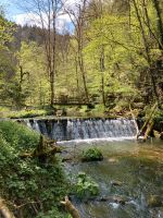 Schamanisches Wochenende im Hochschwarzwald: 5.-7.7.2024 Baden-Württemberg - Löffingen Vorschau