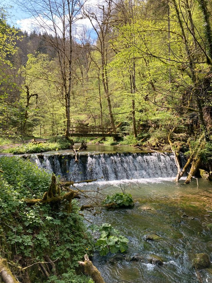 Schamanisches Wochenende im Hochschwarzwald: 5.-7.7.2024 in Löffingen