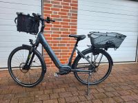 E-Bike Kreidler Vitality Eco7 Niedersachsen - Hilter am Teutoburger Wald Vorschau