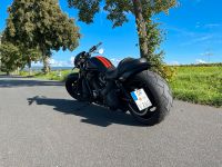 Harley Davidson Nightrod Hessen - Hainburg Vorschau