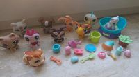 LPS, Littlest Pet Shop -  Set Thüringen - Tiefenort Vorschau