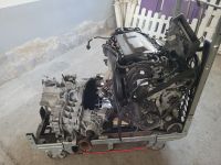 Motor + Getriebe + Deferenzial + Steuergerät Ford Kuga 140ps 2.0 Hessen - Oberaula Vorschau