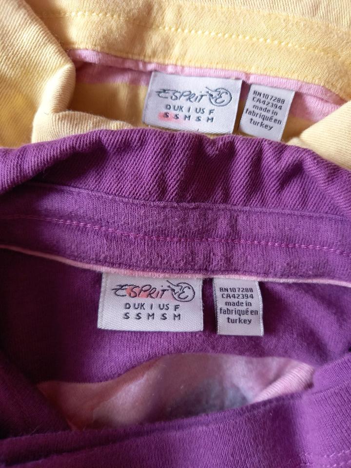Poloshirts EDC by Esprit lila gelb Gr. S / 36 - 170-176 in Sonnefeld