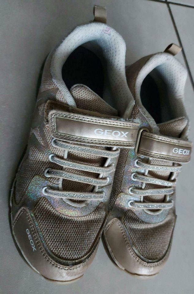 Schöne Turnschuhe Gr.  36 metallic Paar ab € 7,00 Geox, in Rendsburg