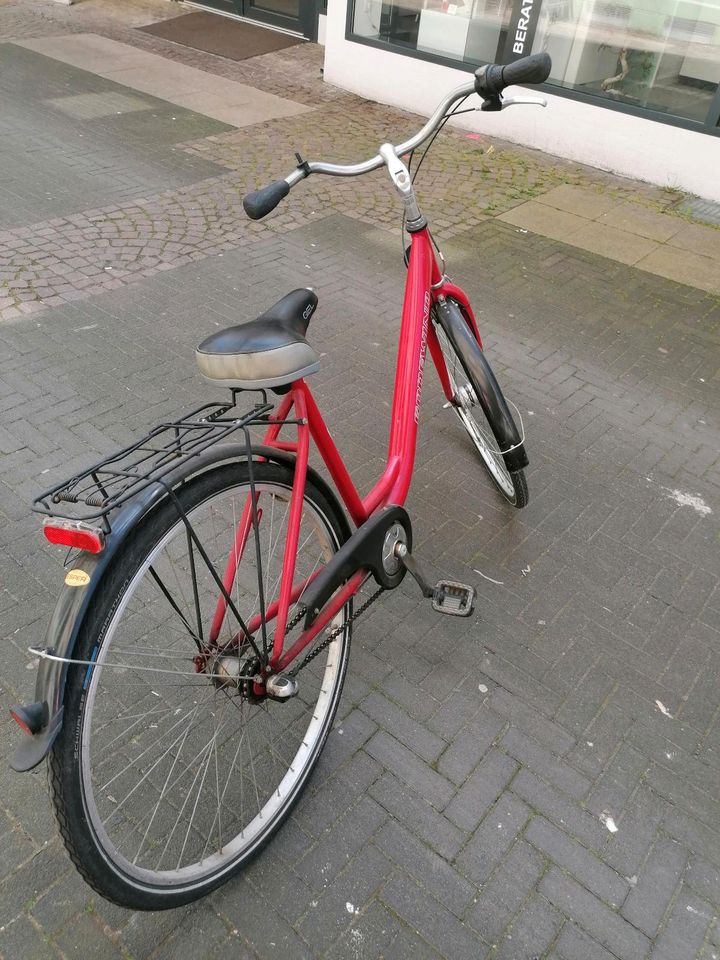 Damen Fahrrad in Remagen