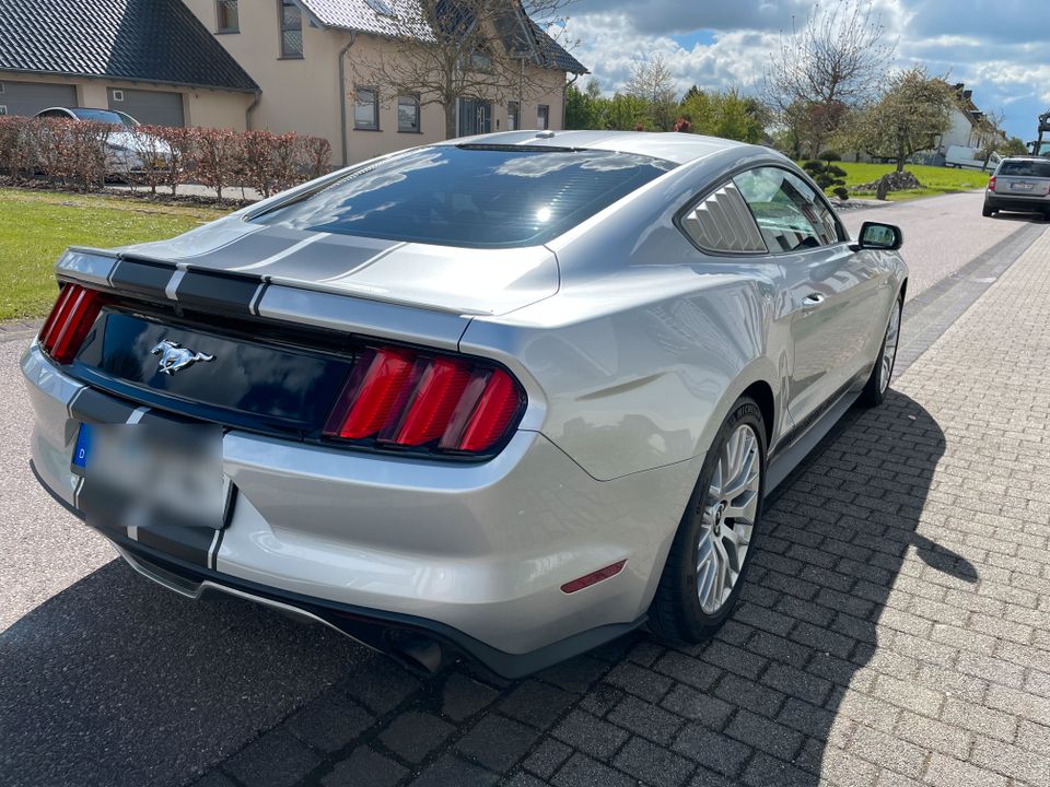 Ford Mustang 2.3 EcoBoost FRISCHER SERVICE + TÜV in Orenhofen