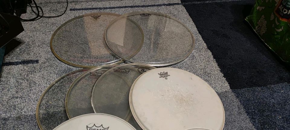 SNARE FELL REMO,PEARL IM GUTEN ZUSTAND in Essen