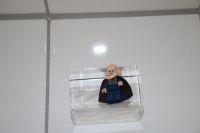 LEGO Star Wars Figur Bib Fortuna aus 9516 Nordrhein-Westfalen - Mönchengladbach Vorschau