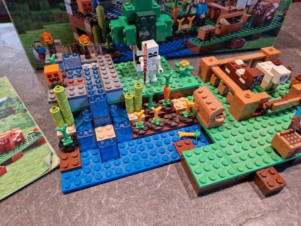 Lego Minecraft 21114 Set 2 in Darme