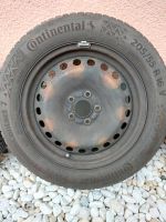 Continental Premium Contact 7 205/55 R16 V Sommerreifen DOT 11/23 Nordrhein-Westfalen - Euskirchen Vorschau