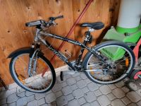 Mountainbike GIANT Baden-Württemberg - Wolfach Vorschau