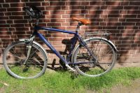 Kalkhoff Jubilee Fahrrad Herrenfahrrad  Shimano SR Suntour CR 820 Bochum - Bochum-Mitte Vorschau