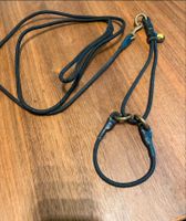 Zugstopp Halsband / Hundezubehör / Hundeleine / Halsband Hessen - Borken Vorschau