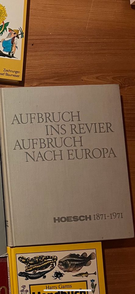 Aufbruch ins Revier - Buch Hoesch in Dortmund