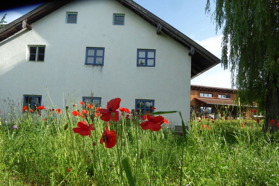 Drehen auf der Töpferscheibe am Wochenende, 3 Tage in Steinach b. Straubing