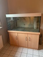 EHEIM Aquarium mit Unterschrank ca. 320 l Nordrhein-Westfalen - Bergkamen Vorschau