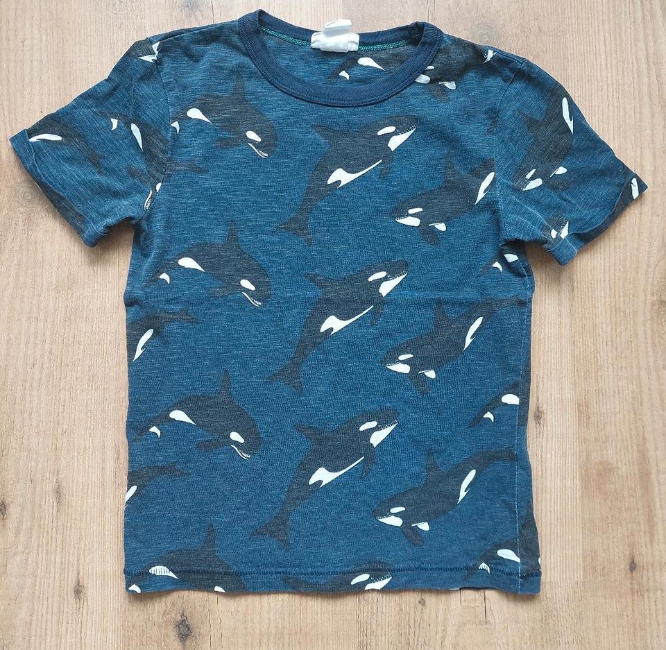 H&M T-Shirt  Jonas Claesson Gr. 122/128 Orcas in Hamburg