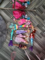 Barbie sammlung Brandenburg - Potsdam Vorschau
