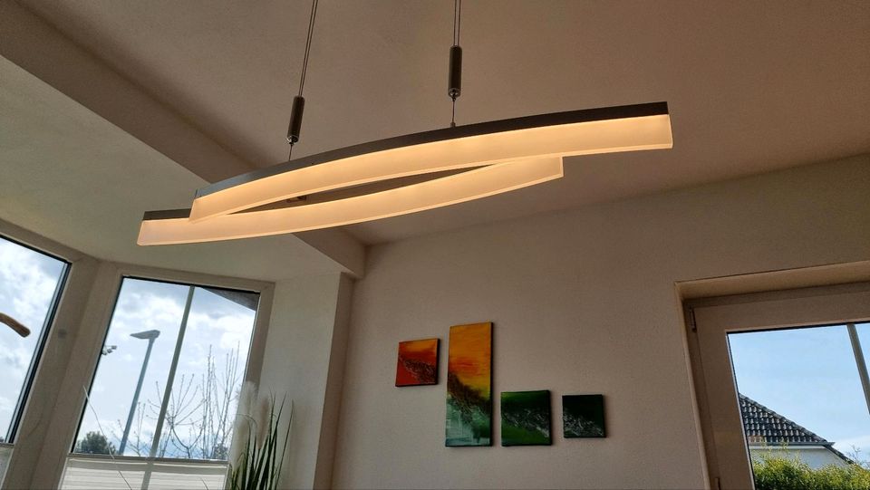 Deckenleuchte + Pendelleuchte Design LED dimmbar Edelstahl in Lengede