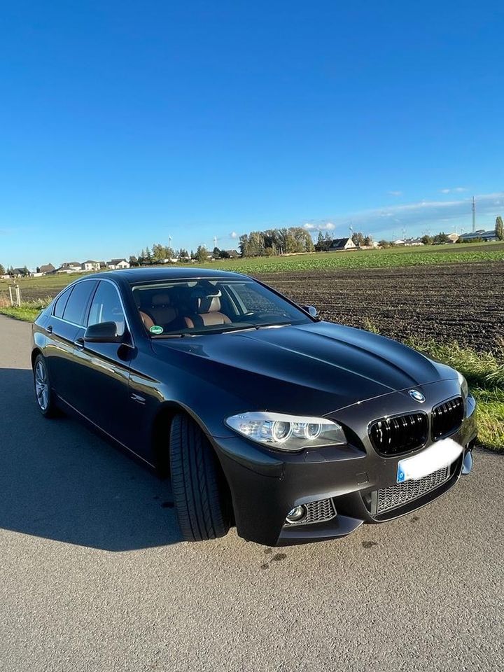 BMW F10 520d in Gerwisch