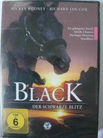 Black der schwarze Blitz - Pferde, Rennsport, Jockey, Hengst Niedersachsen - Osnabrück Vorschau