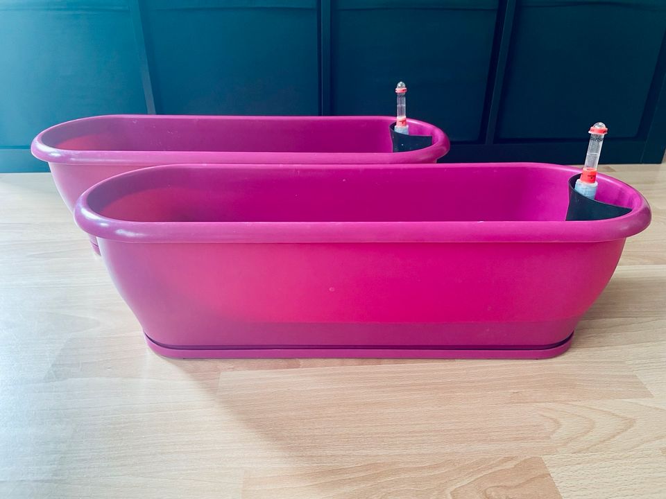 2x Ebertsankey Blumenkasten mit Bewässerungssystem in Pink in Köln