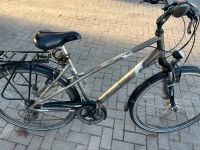 Fahrräder zu verkaufen Schleswig-Holstein - Leezen Vorschau
