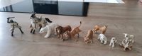 Schleich Tiere Preis 2 - 3 euro Wuppertal - Vohwinkel Vorschau