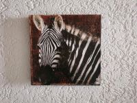 Leinwandbild Zebra - Tiere Afrika  Dekobild Zebra 30x30 Bayern - Stegaurach Vorschau