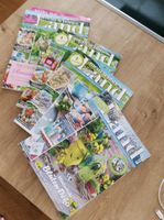 4 Magazine Zeitschrift Mein schönes Land Garten Deko Blumen Hessen - Wettenberg Vorschau