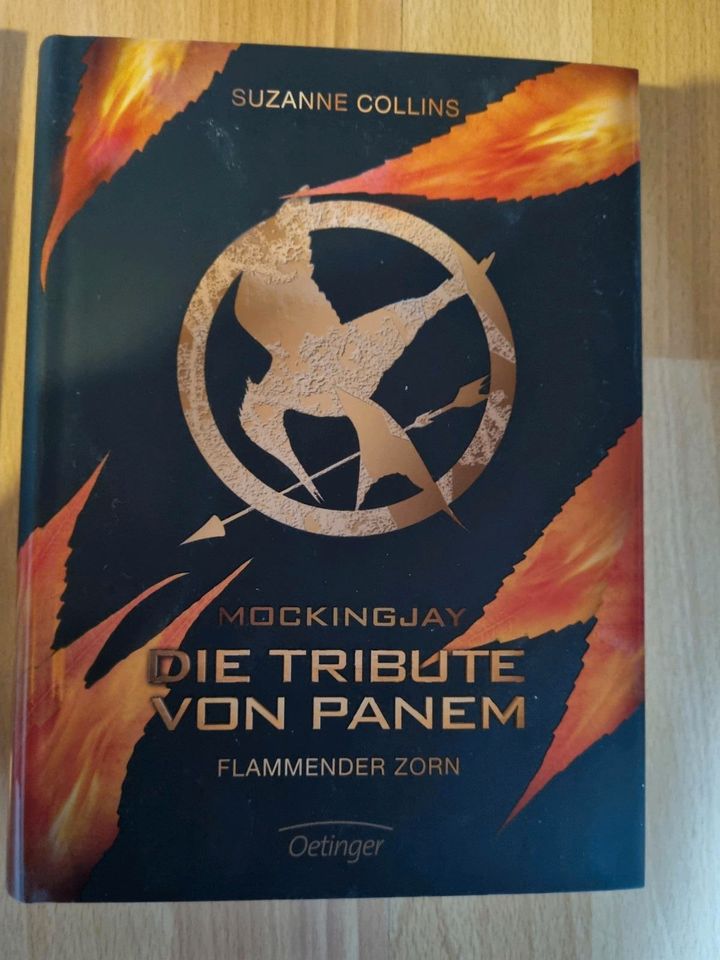 Die Tribute von Panem, Flammender Zorn in Darmstadt