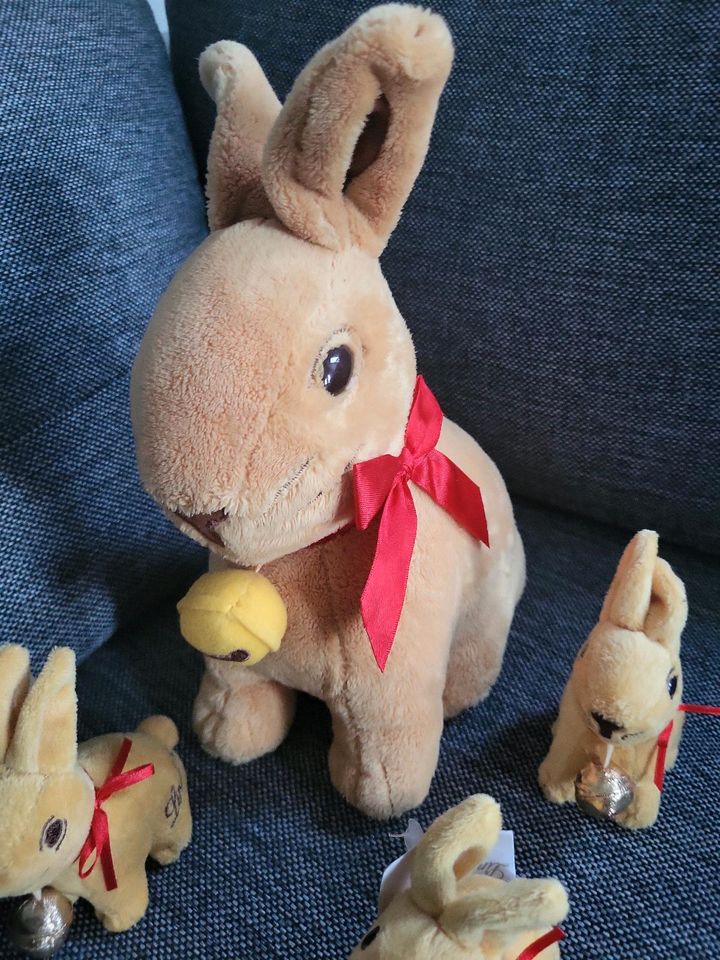 Lindt Plüsch Osterhasen XXL und kleine in Zeuthen