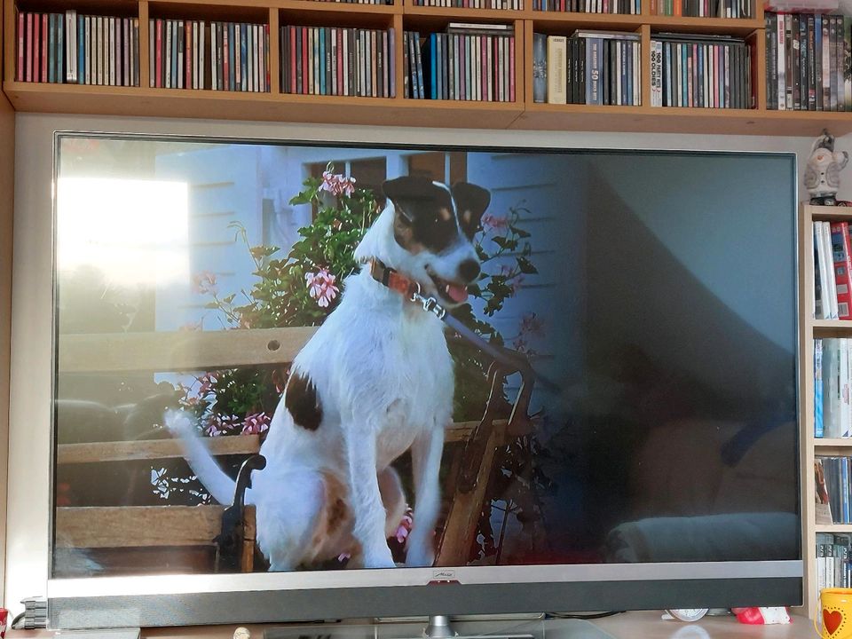 METZ Fernseher 55 Zoll in Wangen im Allgäu