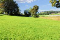 Großes Grundstück in idyllischer Lage Bayern - Rinchnach Vorschau