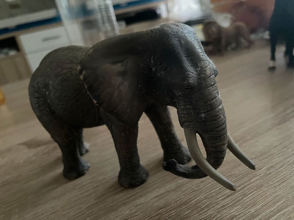 Schleich Elefant in Mönchengladbach