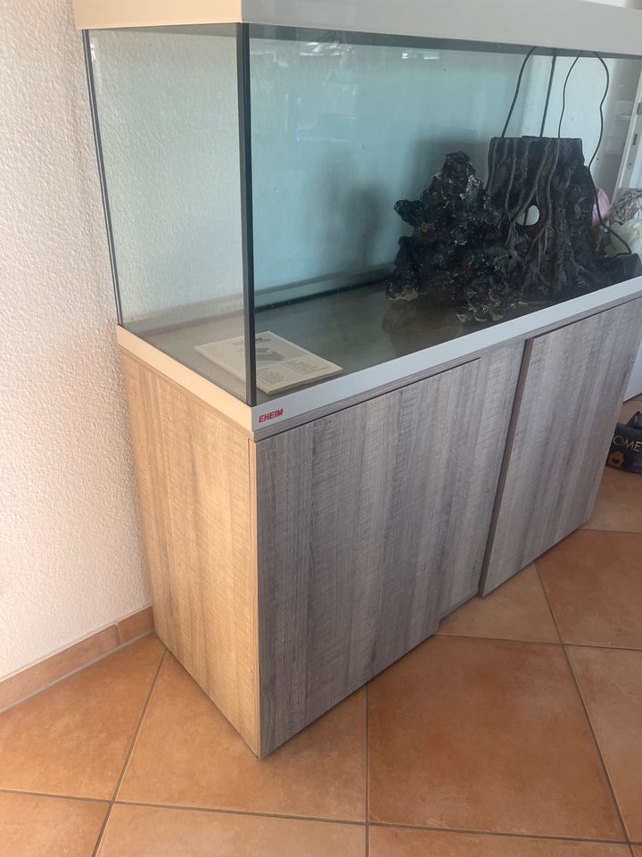 EHEIM Aquarium Kombination Vivaline 240L mit Unterschrank in Bad Soden am Taunus